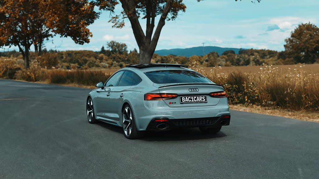 RS5 neu10